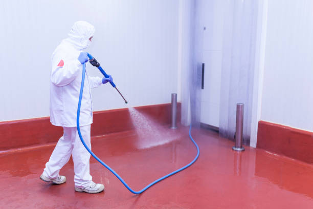 Best Solar Panel Cleaning  in Sparrow Bush, NY